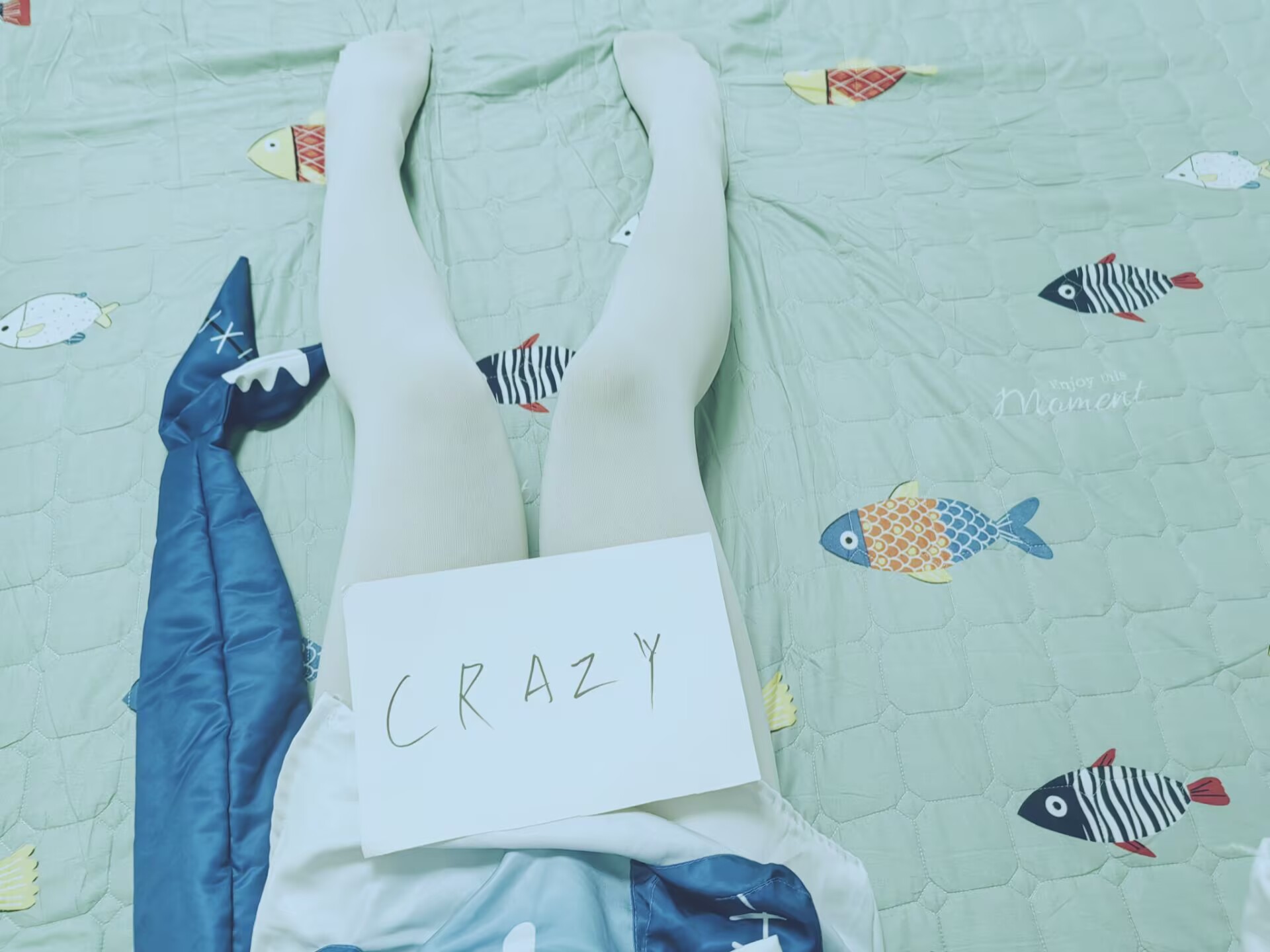 举着 CRAZY 牌子的照片
